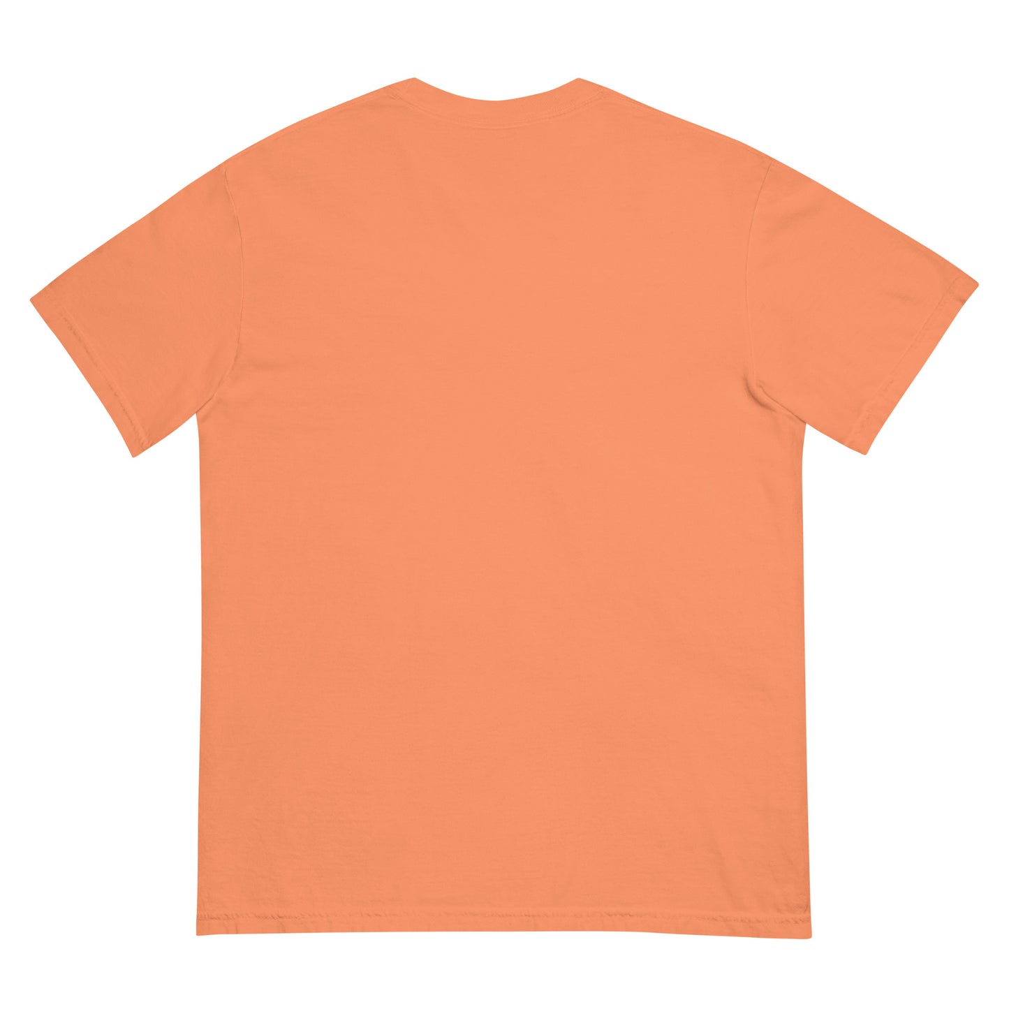 Fund the Exit T-Shirt (Death Valley)