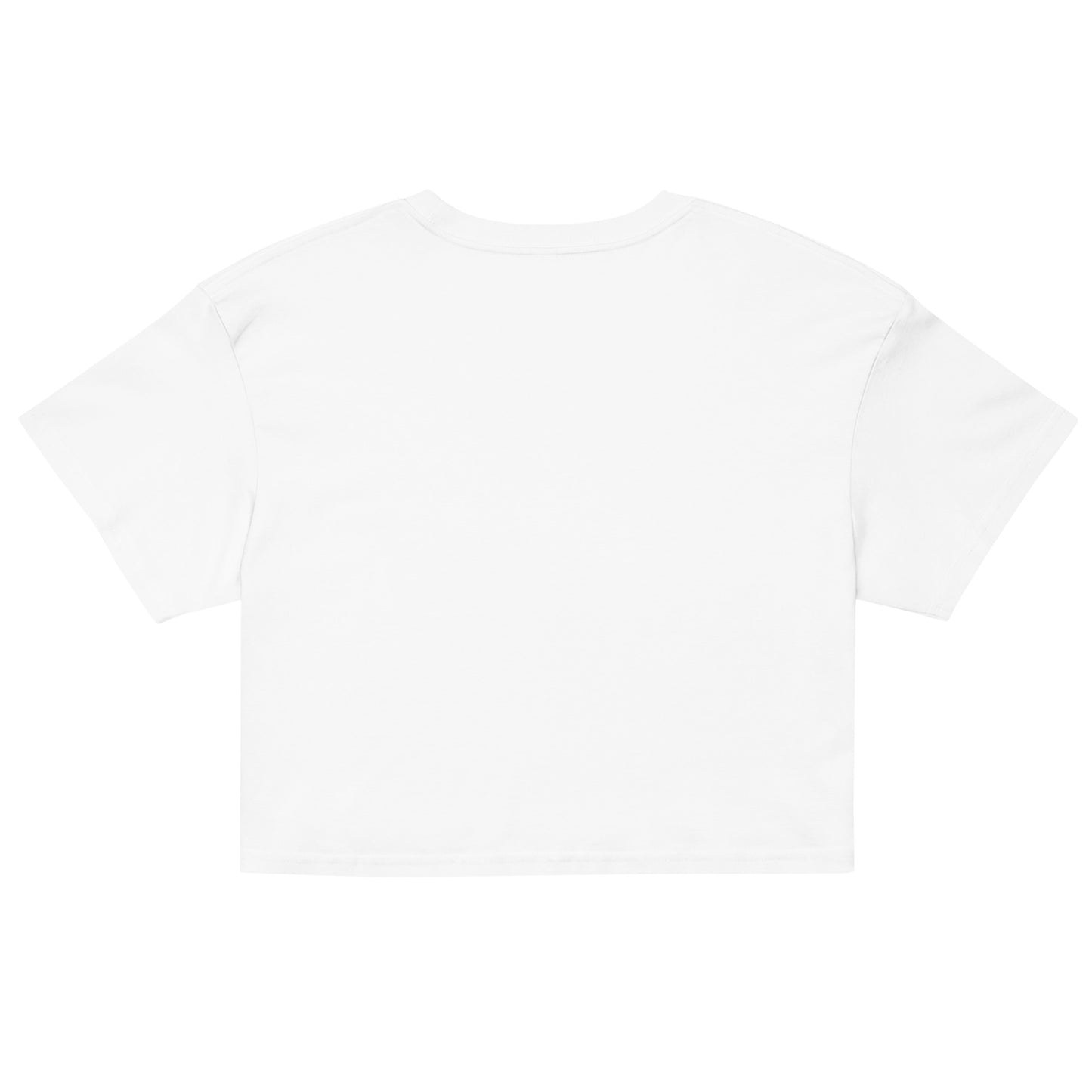 TallaNasty Embroidered crop top